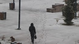 Van'da Beyaz Esaret: 141 Yerleşim Yerine Ulaşım Durdu, Bir İl&ccedil;ede Okullar Tatil Edildi