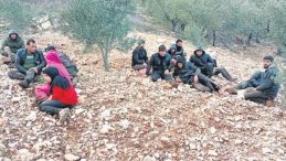 Zeytinlikte Ka&ccedil;ak G&ouml;&ccedil;men Operasyonu