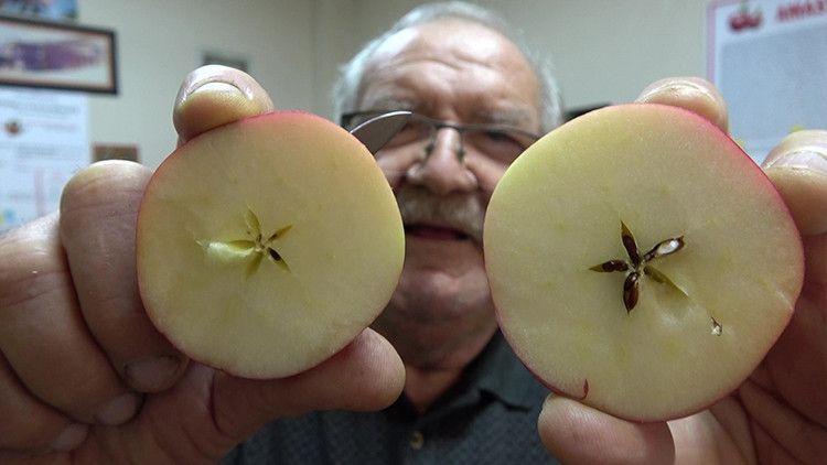 Zirai Don Etkisi: Fiyatlar 150 Liraya Y&uuml;kseldi