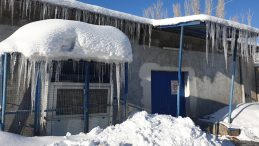 'İlkbaharı beklerken kış geri geldi' | Bu il&ccedil;ede termometreler eksi 18'i g&ouml;sterdi