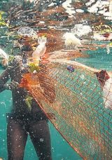 28 Kıyı İlinde Temiz Deniz Seferberliği