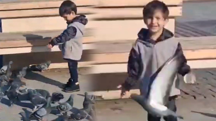 4 yaşındaki Serhat'ın ölümü Türkiye'yi yasa boğmuştu: Son anlarının görüntüsü ortaya çıktı