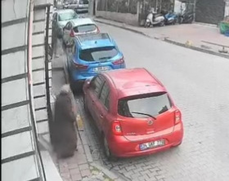 Kapkaç Anı Görüntüsü