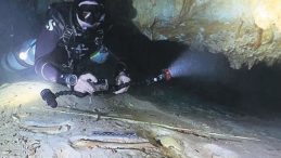 8 Bin Yıllık İnsan Kemiği Bulundu