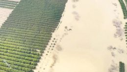 Adana&rsquo;da &ccedil;ift&ccedil;iye b&uuml;y&uuml;k şok! Karlar eridi, tarlalar sular altında kaldı