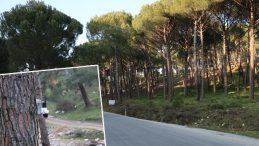 Altın değerinde: Vatandaş korumak i&ccedil;in harekete ge&ccedil;ti