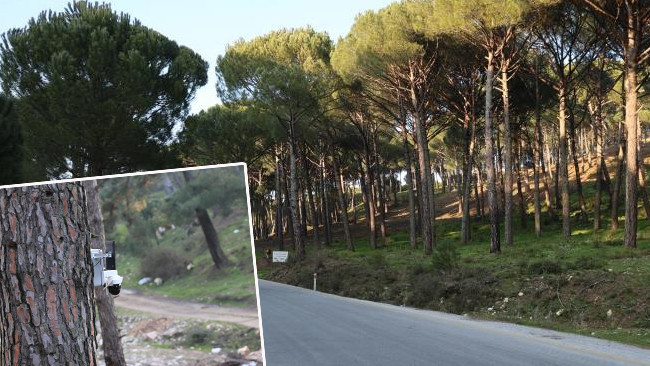 Altın değerinde: Vatandaş korumak i&ccedil;in harekete ge&ccedil;ti