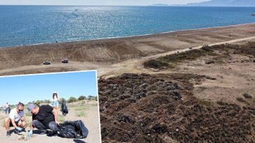 Antalya'da kumsalın altında bulundu: 1500 tane olduğu tahmin ediliyor! 'Bu katliama izin vermeyeceğiz'