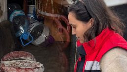 Ara&ccedil; Bagajında Gıda Ter&ouml;r&uuml;: Bunları Vatandaşa Yedirecekti