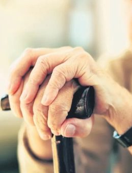 Asırlık &ccedil;ınarların sayısı 10 bini aştı