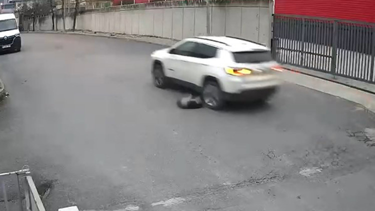 Avcılar'da vicdanları sızlatan olay: Köpeği ezip yoluna devam etti