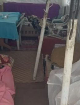 Ayılar Sis Dağı&rsquo;nda yayla evlerine dadandı: 10 Evde b&uuml;y&uuml;k tahribat