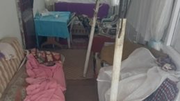 Ayılar Sis Dağı&rsquo;nda yayla evlerine dadandı: 10 Evde b&uuml;y&uuml;k tahribat