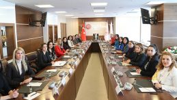 Bakan G&ouml;ktaş, baroların kadın ve &ccedil;ocuk hakları komisyonu temsilcileriyle g&ouml;r&uuml;şt&uuml;