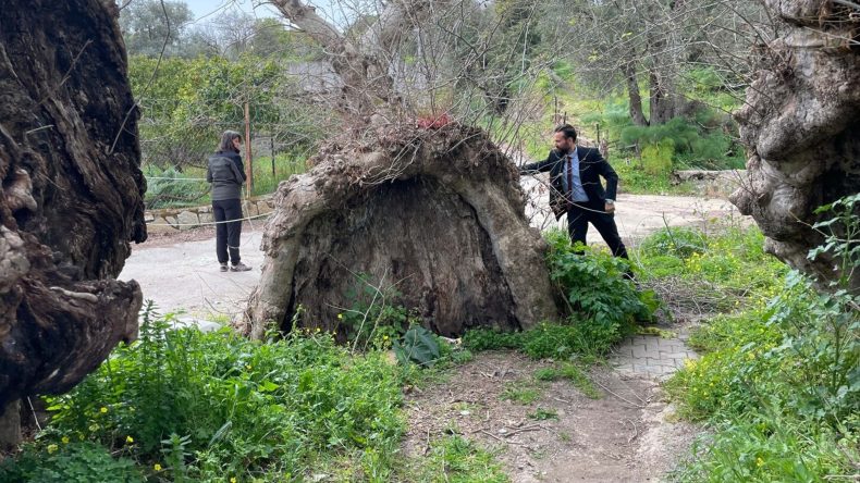 Bodrum'da y&uuml;r&uuml;y&uuml;ş yapan kişi fark etti! İnceleme başlatıldı… 2 bin yıllık olduğu tahmin ediliyor