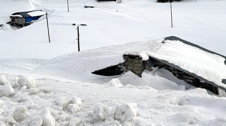 B&ouml;lge Kara G&ouml;m&uuml;ld&uuml;: Takvimler 'İlkbahar' Ama Zemheri Kışı Yaşıyorlar