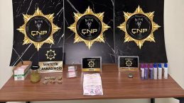 &Ccedil;anakkale'de Huzur Operasyonu: 4 Tutuklama