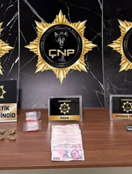 &Ccedil;anakkale'de Huzur Operasyonu: 4 Tutuklama