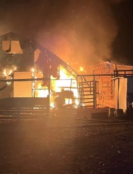 &Ccedil;iftlik Yanarak K&uuml;l Oldu: 580 Hayvan Telef Oldu