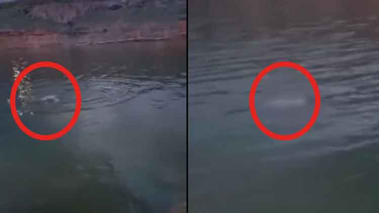 Cesedi Bulunan Şahsın Boğulma Anı Ortaya &Ccedil;ıktı