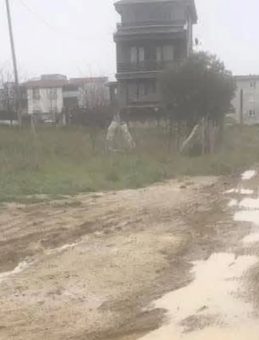 CHP&rsquo;li Belediyeye &Ccedil;amur Tepkisi!