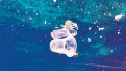 Denizlerde Dip Temizliği: 325 Bin Ton Atık Bertaraf Edildi