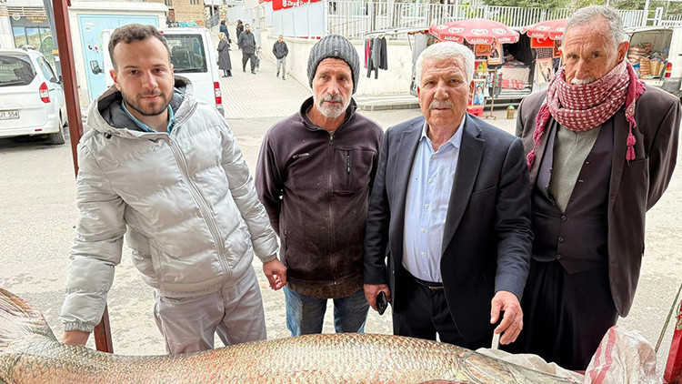 Diyarbakır'da Yakalanan Dev Turna Balığı Satışa &Ccedil;ıktı