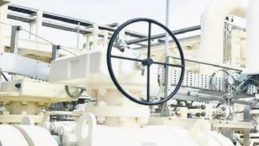 Doğalgaz Şebeke Uzunluğu 255 Bin Kilometreye Ulaştı