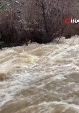 Elazığ'da Yağış Sonrası Dere Coştu