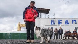 Evcil K&ouml;pekler Afetlere Hazırlanıyor