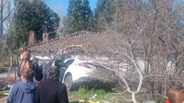 Feci kaza&hellip; Otomobil ağa&ccedil;lara &ccedil;arptı: 2 &ouml;l&uuml;, 1 yaralı