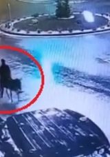 Forkliftle Soygun Yapıp Eşekle Ka&ccedil;mıştı: İstenen Ceza Belli Oldu!