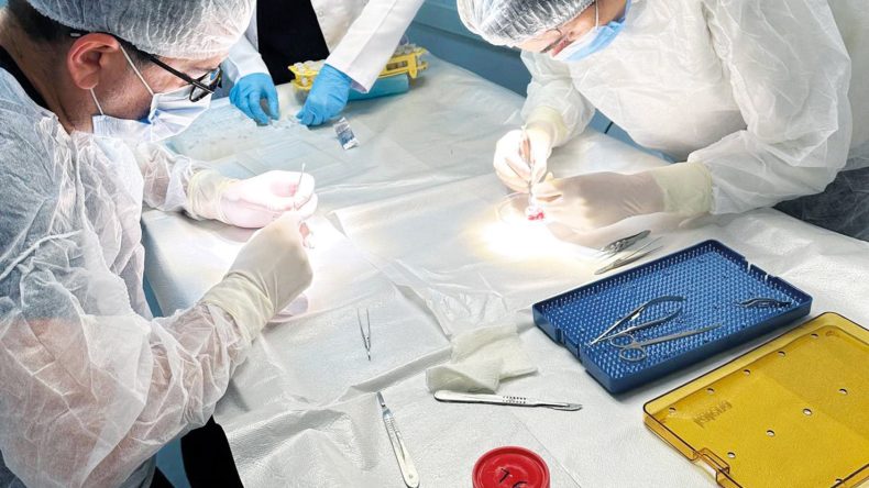 G&ouml;zlerimiz Artık Yaşlanmayacak