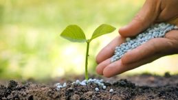 G&uuml;bre ham maddesi &uuml;re i&ccedil;in ithalatta g&uuml;mr&uuml;k vergisi sıfırlandı