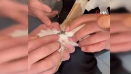 G&uuml;vercinin Ayağına Dolanan Demir Bilezik İtfaiye Ekibince &Ccedil;ıkartıldı