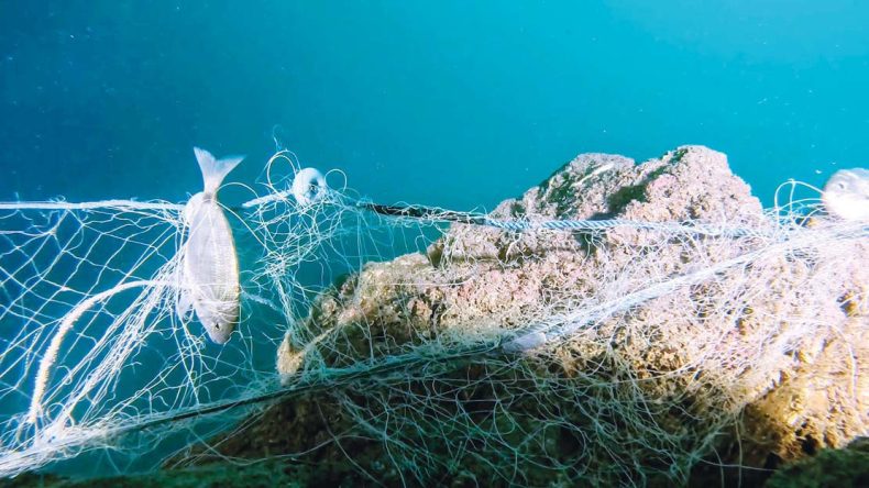 Hayalet ağlar sanata dönüştü