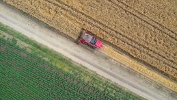 H&uuml;rm&uuml;z kapandık&ccedil;a gıda krizi yaklaşıyor! Fitch, g&uuml;bre fiyatı beklentisini y&uuml;kseltti