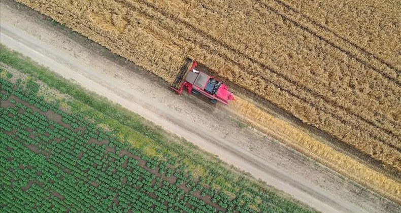 Hürmüz kapandıkça gıda krizi yaklaşıyor! Fitch, gübre fiyatı beklentisini yükseltti