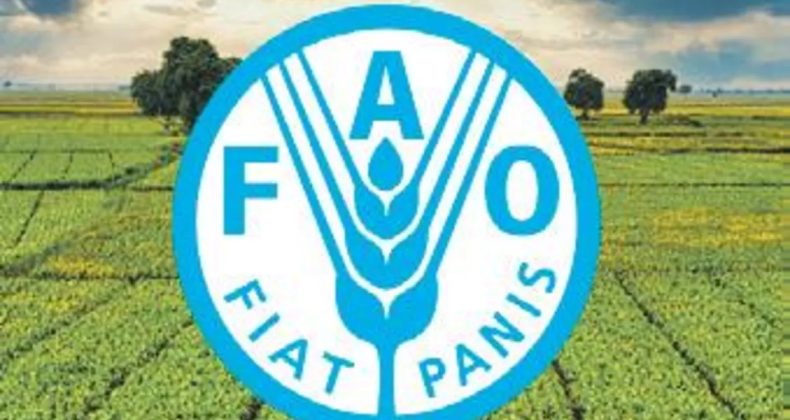 Hürmüz'ün kapanması, gıda sistemlerini etkileyecek