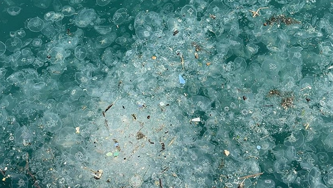 İstanbul'da yağışın ardından ortaya &ccedil;ıktı: Beşiktaş Sahili'nde arttı