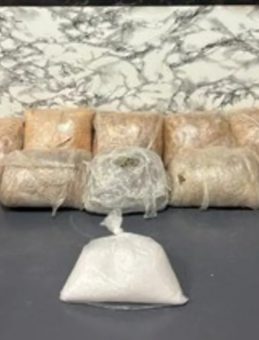 İstanbul’da 5 ilçede zehir tacirlerine darbe