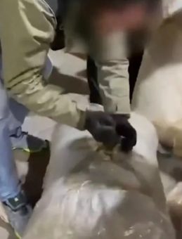 İzmir&rsquo;de uyuşturucu operasyonu: 1 ton 346,5 kilo skunk ele ge&ccedil;irildi