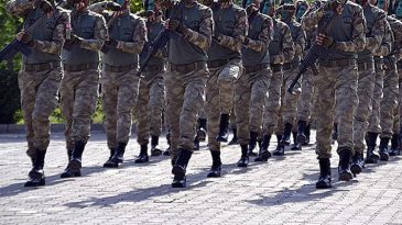 Jandarma Domuz Avlayacak: Ovaya İnene İşgalci T&uuml;rlere Operasyon