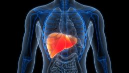 Karaciğer Kanserinden Korunmanın Sırrı Ortaya &Ccedil;ıktı!