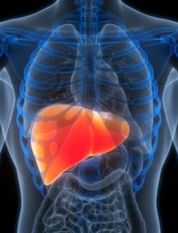 Karaciğer Kanserinden Korunmanın Sırrı Ortaya &Ccedil;ıktı!