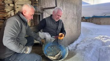 Karlar i&ccedil;inde buldu, her g&uuml;n balıkla besleyip iyileştirdi