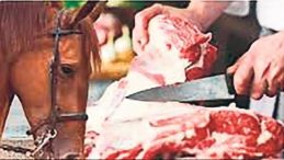 Kavurma ve K&ouml;ftede Tek Tırnaklı Hayvan Eti