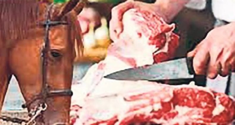 Kavurma ve K&ouml;ftede Tek Tırnaklı Hayvan Eti