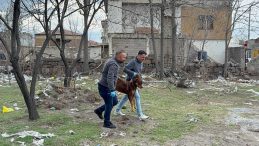 Kayseri&rsquo;de Başıboş K&ouml;pek Dehşeti: 3 Yaşındaki &Ccedil;ocuk Ağır Yaralandı