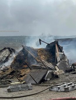 Kocaeli'de ahırda yangın! &Ccedil;ok sayıda hayvan telef oldu